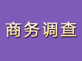 濉溪商务调查